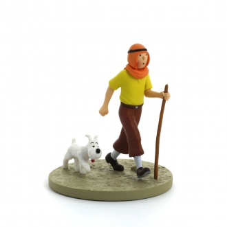 Coffret tintin oriental dans le désert