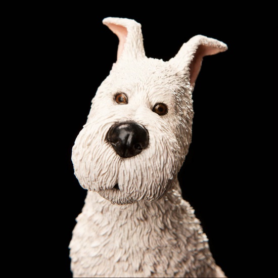 46-01-01043_tintin_snowy_005